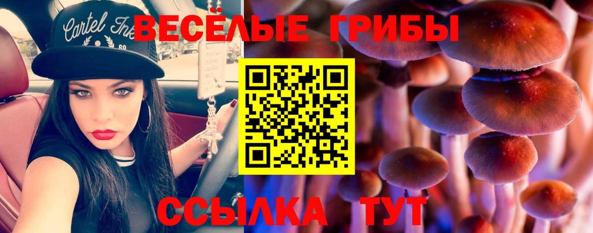 Галлюциногенные грибы Cubensis Гагарин